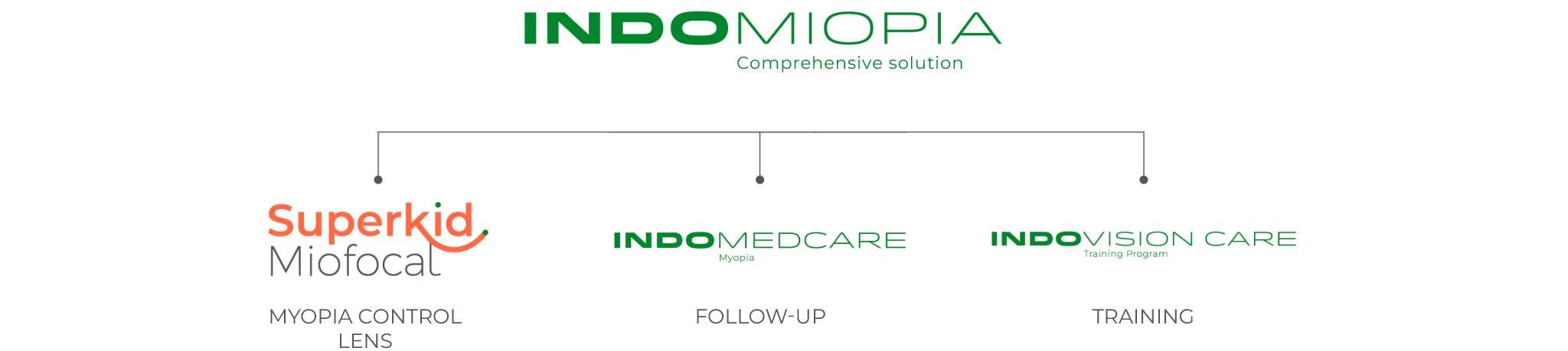 ENG-indomiopia2048x4591769005184